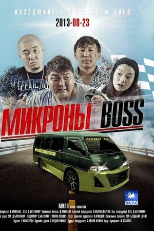 The Minibus Boss