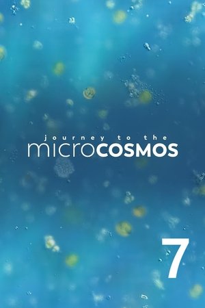 Temporada 7