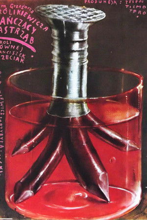 Tańczący jastrząb