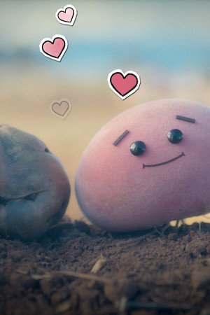 Potato