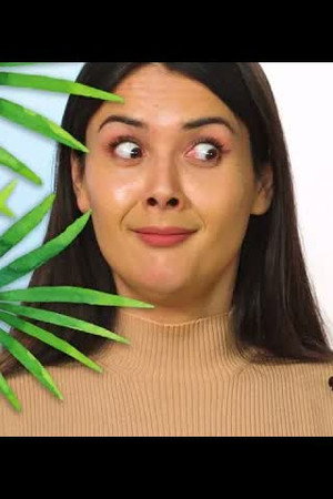 Patti Reviews Exotic Animals: Chilean Flamingo