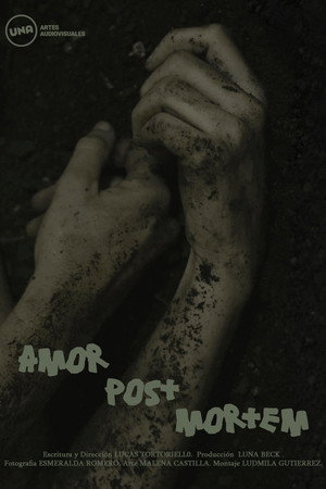 Amor Post Mortem