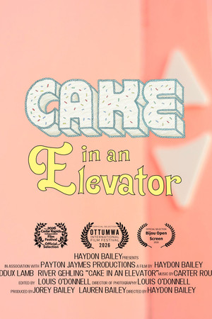 Cake in an Elevator