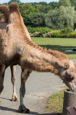 Upřímnost nade vše