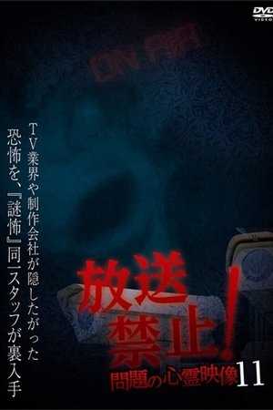 Broadcast Prohibited! Troubling Supernatural Footage 11