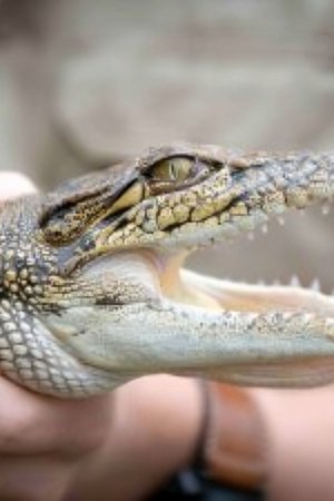 10. epizoda