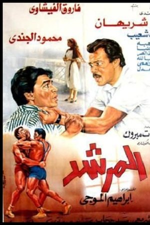 المرشد
