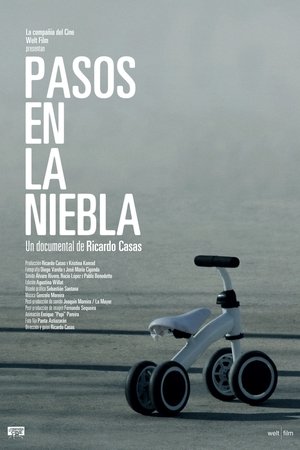 Pasos en la niebla