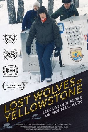 Lost Wolves of Yellowstone