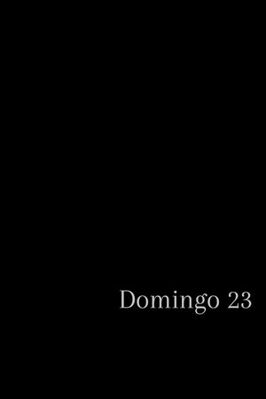Domingo 23