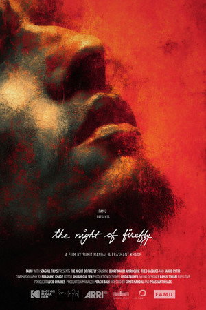 The Night of Firefly