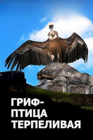 L'avvoltoio può attendere