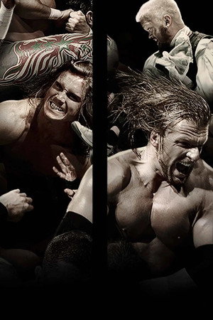 Royal Rumble 2009