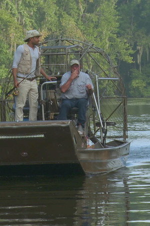 Hunt for the Crocogator