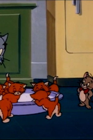 The Kitten Sitters