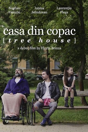 Casa din copac