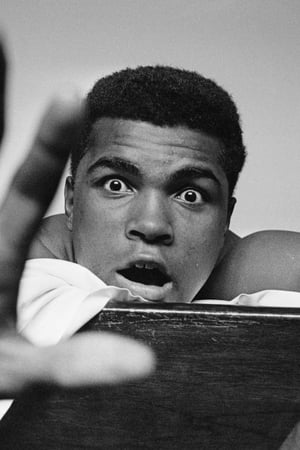 Muhammad Ali: Největší souboj