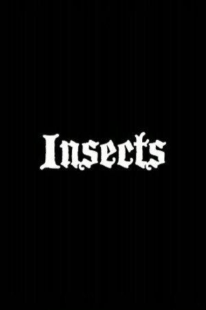 Band Interview - Insects