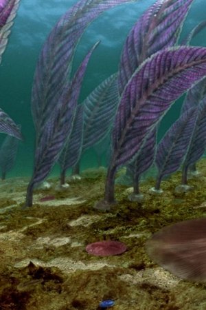 epizoda
