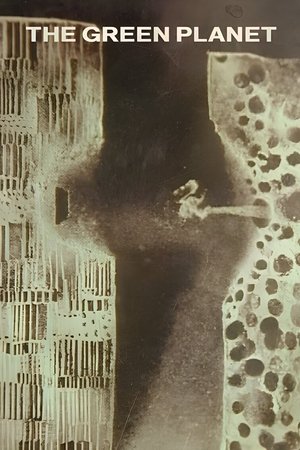 La Planète Verte