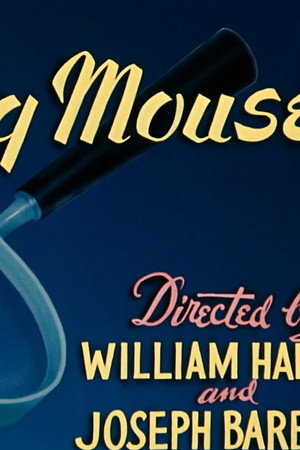 The Missing Mouse
