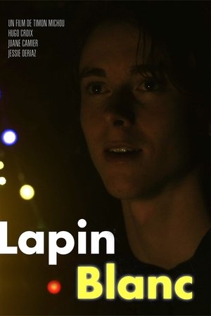 Lapin Blanc