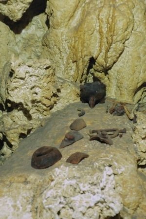 4. epizoda