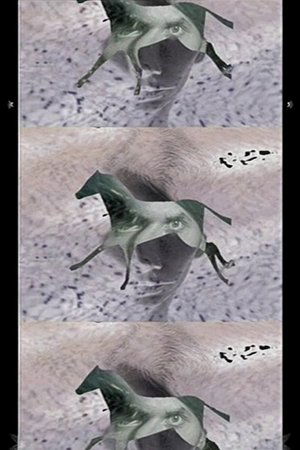 Third Reality 2