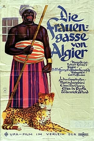 Die Frauengasse von Algier