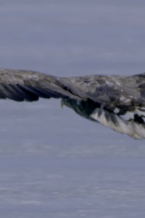 7. epizoda
