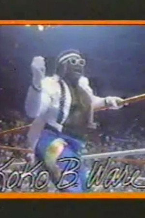 July 25, 1987 - Superstars of Wrestling 47
