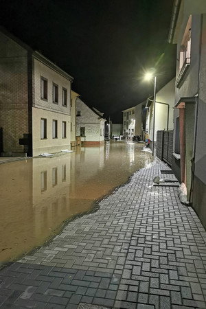 Allein in der Flut