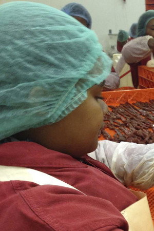 Sitar, Biltong, Bulldozers