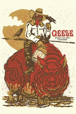 Geese: Live at Pickathon Woods Stage 2024