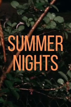 Summer Nights