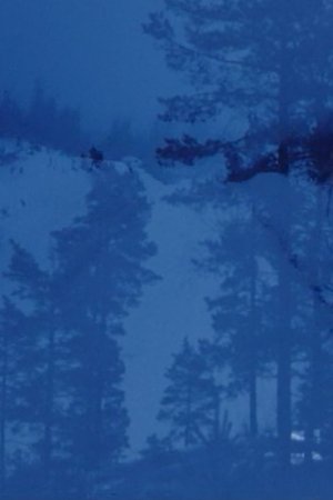 Winterfarbe II