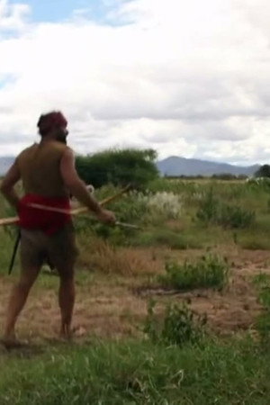 African Ambush