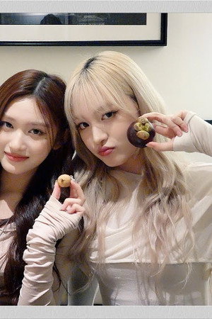 Tropical Fruit Gourmet Meal in Bangkok (with LIZ x LEESEO)