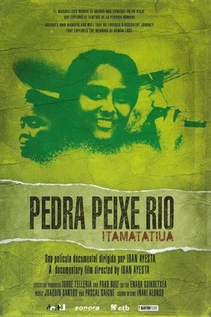 Pedra, peixe, rio: Itamatatiua