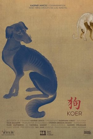 Koer