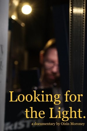 Looking for the Light