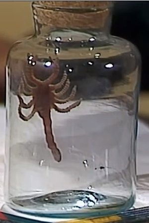 24. epizoda