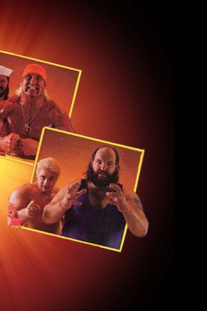 SummerSlam 1990