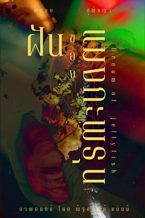 ฝัน ของ แมงกะพรุน