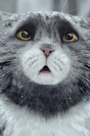 Sainsbury's: Mog's Christmas Calamity