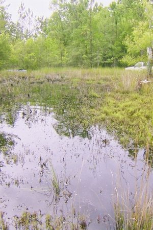 4. epizoda