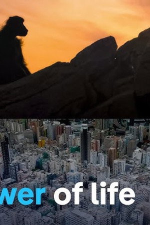 The story of our planet