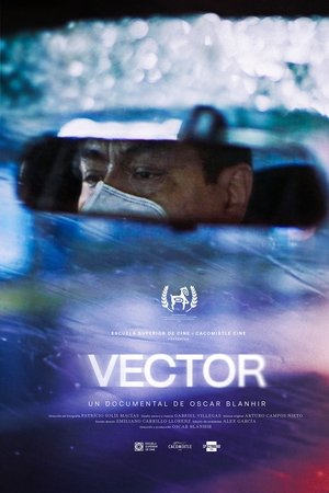 VECTOR