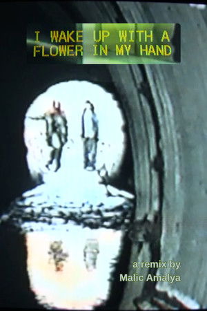 I Wake Up With a Flower in My Hand