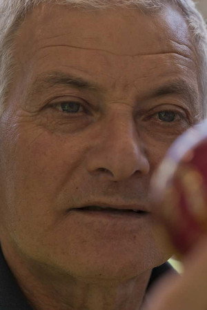 Toilet Paper, Absinthe, Cricket Balls